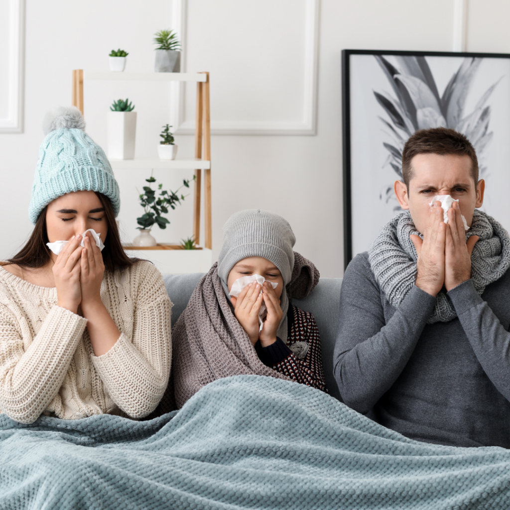 Cold & Flu